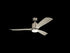 Kichler LED 52 Inch Ridley II Fan Model: 300027BSS