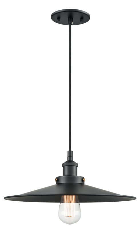 Matteo Lighting Bulstrode's Workshop 1 Light Pendant in Black Model: C46113BKBK