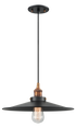 Matteo Lighting Bulstrode's Workshop 1 Light Pendant in Black Model: C46113BKBK