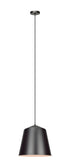Matteo Lighting Encase in Bronze Pendant Model: C64002BZ