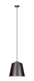 Matteo Lighting Encase in Bronze Pendant Model: C64002BZ