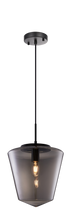 Matteo Lighting Idina 1 Light Pendant in Black Model: C80302BK