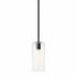 Matteo Lighting Lincoln 1 Light Pendants in Combination Finishes Model: C32501AG