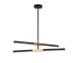 Matteo Lighting Lineare 4 Light Pendant in Combination Finishes Model: C64738MBCH