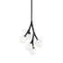 Matteo Lighting Rami 5 Light Chandelier in Black Model: C81505BKOP