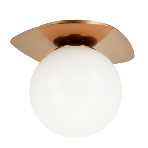 Matteo Lighting Razz 1 Light Ceiling Mount in Combination Finishes Model: X15701AGOP