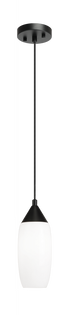 Matteo Lighting Reya 1 Light Pendant in Black Model: C74011BK