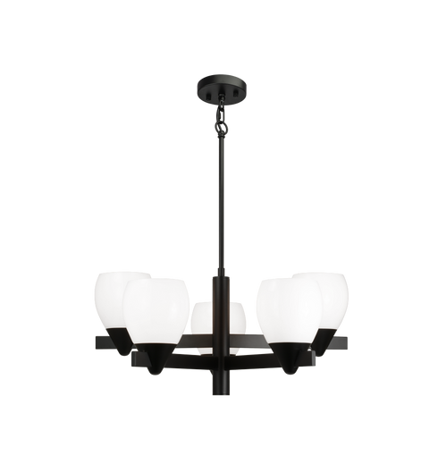 Matteo Lighting Reya 5 Light Pendant in Black Model: C74005BK