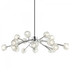 Matteo Lighting Rosa 18 Light Pendants in Black Model: C61418MB