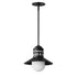 Maxim Admiralty Outdoor Pendant in Black Finish Model: 35121SWBK