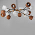 Maxim Akimbo Multi Light Pendant in Dark Bronze/Antique Brass Finish Model: 28279DBZAB