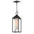 Maxim Aldous Outdoor Pendant in Black Finish Model: 30079SWBK
