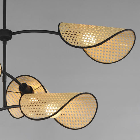 Maxim Bonnet Multi Light Pendant in Black Finish Model: 12636NABK