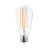 Maxim Bulbs Bulb Model: BL4E26ST58CL120V22