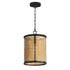 Maxim Cane Single Pendant in Black Finish Model: 14471NABK