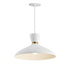 Maxim Carillon Single Pendant in Black / Satin Brass Finish Model: 11304BKSBR