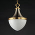 Maxim Conrad Single Pendant in Satin Nickel / Satin Brass Finish Model: 10384WTSNSBR