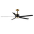 Maxim Daisy Indoor Ceiling Fan in Black / Gold Finish Model: 88826BKGLD