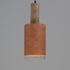 Maxim_discontinued Scout Single Pendant in Weathered Wood / Tan Leather Finish Model: 10092WWDTN