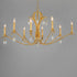 Maxim Eden Chandelier in Charcoal Gold Leaf Finish Model: 12748CHGL