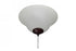 Maxim Fan Light Kits Ceiling Fan Light Kit in Oil Rubbed Bronze Finish Model: FKT209FTOI