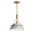Maxim Lucas Single Pendant in Natural Aged Brass Finish Model: 25221LFGNAB