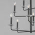 Maxim Madeira Chandelier in Anthracite Finish Model: 12329TCAR
