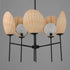 Maxim Maldives Chandelier in Black Finish Model: 12605NABK