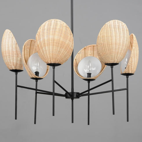 Maxim Maldives Chandelier in Black Finish Model: 12606NABK