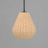 Maxim Maldives Single Pendant in Black Finish Model: 12602NABK
