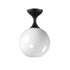 Maxim Neve Semi Flush Mount in Black Finish Model: 21229MRBK
