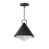Maxim Odette Outdoor Pendant in Black Finish Model: 35131WTBK