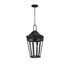 Maxim Oxford Outdoor Pendant in Black Finish Model: 30596CLBK