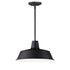 Maxim Pier M Outdoor Pendant in Black Finish Model: 35019BK