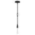 Maxim Pioneer Mini Pendant in Anthracite Finish Model: 27711AR