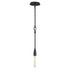 Maxim Pioneer Mini Pendant in Anthracite Finish Model: 27711AR