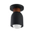 Maxim Pompeii Flush Mount in Lava Black Finish Model: 10629LVBK