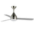 Maxim Selene Indoor Ceiling Fan in Black Finish Model: 88841BK