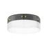 Maxim Spectre Flush Mount in Black / Natural Aged Brass Finish Model: 21190CRBKNAB
