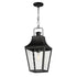 Maxim Storybook Outdoor Pendant in Black Finish Model: 30369CLBK