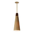 Maxim Sumatra Single Pendant in Natural Aged Brass Finish Model: 14481GCNAB