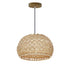 Maxim Tahiti Single Pendant in Black Finish Model: 14411NABK