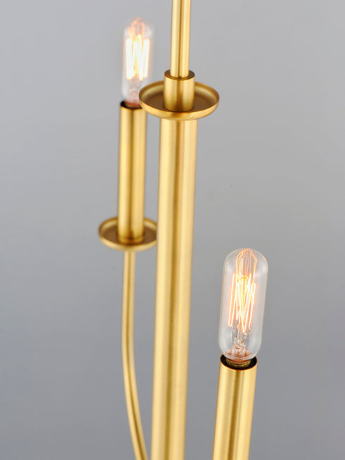 Maxim Wesley Chandelier in Satin Brass Finish Model: 10324SBR