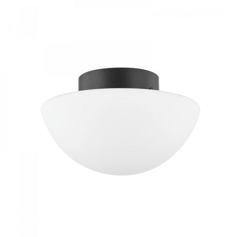 Mitzi Andrea 1 Light Flush Mount Model: H611501-SBK