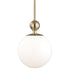 Mitzi Daphne 1 Light Large Pendant Model: H118701L-PN