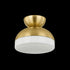 Mitzi Rue Flush Mount in Aged Brass Finish Model: H851501-AGB