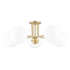 Mitzi Stella 5 Light Semi Flush Model: H105605-PN