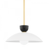 Mitzi Whitley 1 Light Large Pendant Model: H481701L-PN