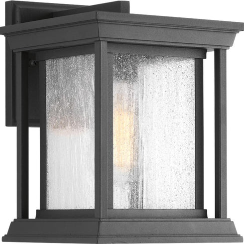 Progress Endicott P5605 20 1 100 Watt MED WALL LANTERN in Antique Bronze Finish Model: P5605-20