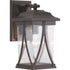 Progress Abbott P560114 020 1 100 Watt MED WALL LANTERN in Antique Bronze Finish Model: P560114-020